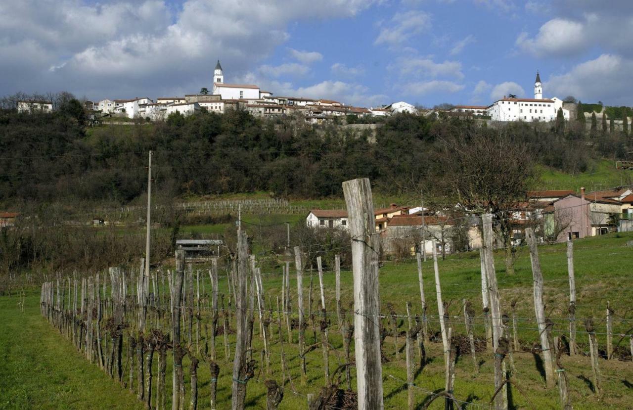 Ajdovščina Apartma In Soba Vipavski Kriz מראה חיצוני תמונה